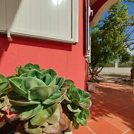 Guest house Casa Da Duna - Salir Do Porto Salir de Porto