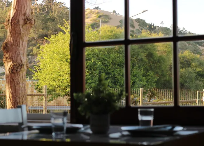 Vendégház Casa Da Duna - Salir Do Porto